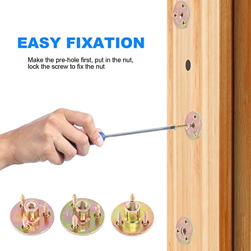 Glarks 64Pcs M6(1/4'') Brad Hole Tee Nut with Mounting Screws Set Zinc Plated Carbon Steel 3-Hole T-Nuts Furniture Hardware Flange Insert Female Thread for Wood Furniture - size: 1/4''(M6) - 64Pcs
