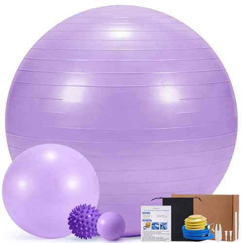 4Pcs Yoga Ball Set includes Large and 9in Pilates Balls, Massage & Spiky Ball for Fitness ,Anti-Burst Exercise Ball with Pumb for Pregnancy,Physical Therapy,Office Chair, Home Workout,3Sizes,3Colors - color: Purple, size: L(23-26inch/58-65cm)