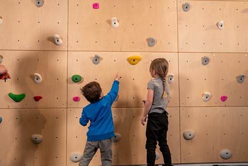 DIY Climbing Wall Panel – 47" x 23.5" Birch Plywood, Pre-Drilled T-Nuts, Textured & Paintable Surface – Indoor Home Gym & Kids Playroom Rock Wall Panel (Climbing Holds Not Included) (Natural) - color: Natural