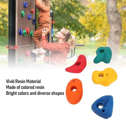 SUNGOOYUE 5 Pcs Climbing Holds, Colorful Resin Wall Grips with Mounting Hardware for Kids Indoor Outdoor Play
