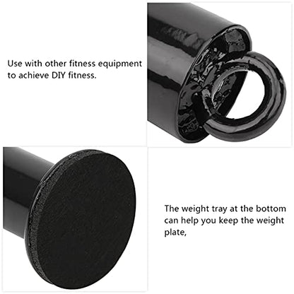 Barbell Loading Pin | 3 Sizes Stainless Steel Weight Plate Holder | Weight Bar Support Frame for Strength Training/DIY Exercise | 20x220mm / 20x320mm / 48x320mm - size: 48 diameter * 320 mm