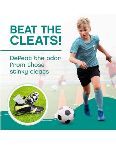 Shoe Deodorizer with Zeolites 1-Pack - Odor Eliminator, Air Freshener, Smell Absorber, Sneakers, Gym Bags, Soccer Cleats, Closets, Pet Area, Reusable - Shoe Deodorant - size: 2 Count (Pack of 1)