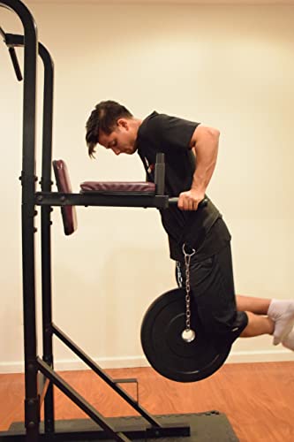 PandaFit Dip Belt for Weightlifting Padded with Steel Chain