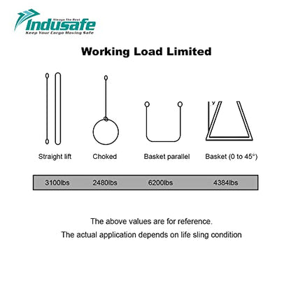3FT Lift Sling Straps, 2 Ply Polyester Rigging Straps, 1inch Web Sling, 3100LBS Load Capacity Flat Eye-Eye Web Sling for Hoist, Tree Stumps, Heavy Duty Cargo