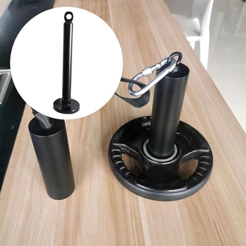 Weight Loading Pin Weight Plate Loading Pin Gym Equipment Weights Lifting Pin Heavy Duty Metal Construction Suitable for Strength Training Cable Pulle - size: 2cm Dia 22cm Length