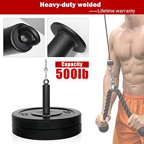 SYL Fitness Loading Pin for 2 inch Olympic Weight Plates with Carabiner, Cable Pulley System Gym Equipment.