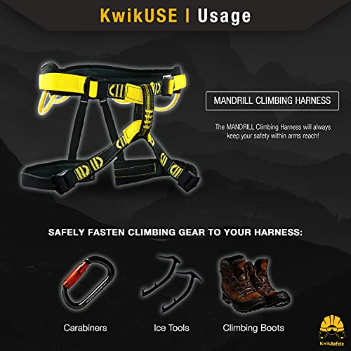 KwikSafety - Charlotte, NC - MANDRILL & CANOPY KING Climbing Harness | Half Body, Full Body | Meets EN & CE - color: 1 Pack | Half Body Harness, size: Half Harness + Tool Lanyard
