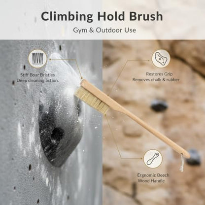 Versatile Climbing Brush for Gym Walls and Outdoor Rock - Boar Bristle Hold Care Tool with Beech Wood Handle (1 Pack)