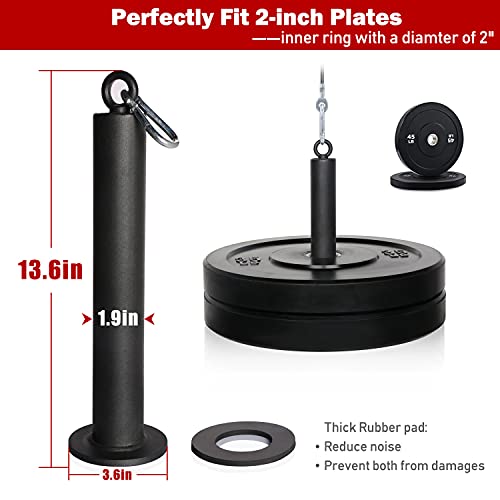 SYL Fitness Loading Pin for 2 inch Olympic Weight Plates with Carabiner, Cable Pulley System Gym Equipment.
