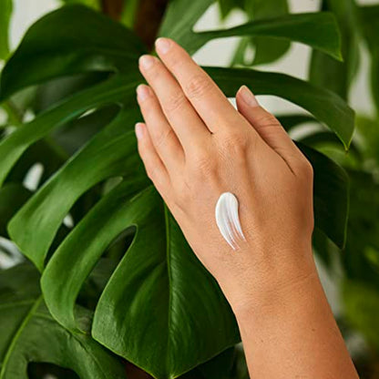 Weleda Unscented Hand Cream, 1.7 Fluid Ounce, Plant Rich Moisturizer with Jojoba, Borage and Coconut Oils