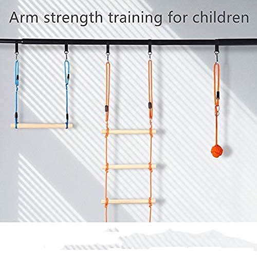 Tree Swing Strap Hanging Kit, 2 Pcs Short Straps, 9.84 inches | Hammock Straps, 2 Pcs Heavy Duty Hook Clasps, For Swing Hammocks Yoga Seat Sandbags, Gym Equipment Pulley System - color: 25cm straps with hook clasps
