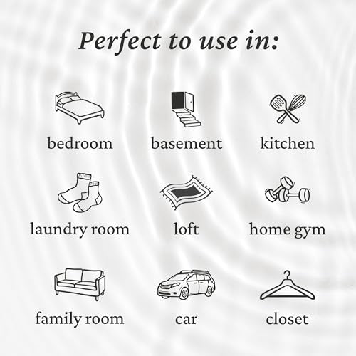 Fresh Wave Original Room and Fabric Air Freshener Spray, 8 oz | Plant-based formula, Pet-safe and people-safe, Fabric and room deodorizer , For upholstery, carpets, shoes, and pet bedding - size: 8 Fl Oz (Pack of 1)