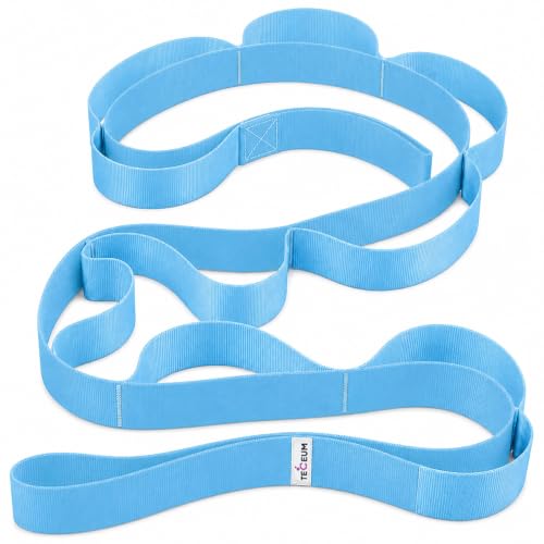 Stretching Strap with 10 Loops for Physical Therapy & Rehab | Non-Elastic Yoga Stretch Band for Hamstring, Leg, Hip & Knee Rehab, Pilates, Flexibility & Mobility Exercises for Men & Women - color: Light Blue, size: Polypropylene 1” W - 10 Loops