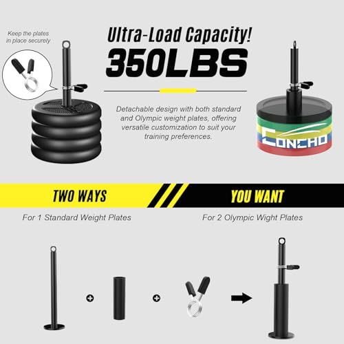 Concho Weight Pulley System, Upgraded Cable Pulley System Gym with Adjustable Weight Cable&Detachable Handles, Workout Pulley System for LAT Pulldown Triceps Biceps Curl Chest Home Gym Attachments