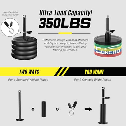 Concho Weight Pulley System, Upgraded Cable Pulley System Gym with Adjustable Weight Cable&Detachable Handles, Workout Pulley System for LAT Pulldown Triceps Biceps Curl Chest Home Gym Attachments