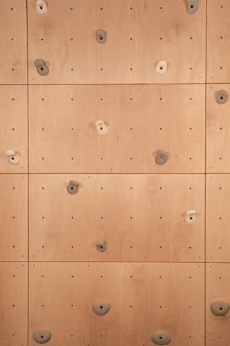 DIY Climbing Wall Panel – 47" x 23.5" Birch Plywood, Pre-Drilled T-Nuts, Textured & Paintable Surface – Indoor Home Gym & Kids Playroom Rock Wall Panel (Climbing Holds Not Included) (Natural) - color: Natural
