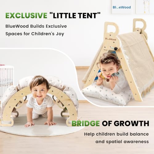 BlueWood Pikler Triangle Set with Cushion, Wooden Climbing Toys for Toddler | Foldable 8-in-1 Montessori Philosophy Toddler Climbing Toys Indoor with Reversible Ramp, Arch and Ladder - Sky Blue - color: Sky Blue