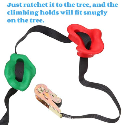 Youeon 18 Pcs Tree Climbing Holds with 6 Ratchet Straps, Outdoor Tree Climbing Kit, Outdoor, Backyard, Gym, Obstacle Course Training