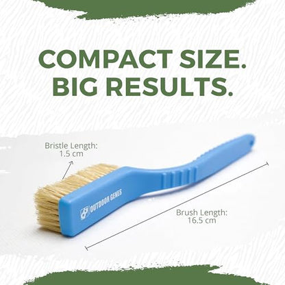 Rock Climbing Brush, 2-Pack Boar Hair Hold Cleaning Brushes | Natural Boar Hair Bristles, Ergonomic Handle, Indoor & Outdoor Holds, Compact Travel Size, Green & Blue Set