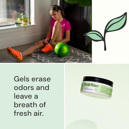 Fresh Wave Iriginal Odor Eliminator Gel 3-Pk 7 oz - Air Freshener for Home | Plant-based essential oils. Lasts 15-30 days per jar. No plug-in needed. Pet-safe, closet and bathroom deoderizer. - size: 7 Fl Oz (Pack of 3)