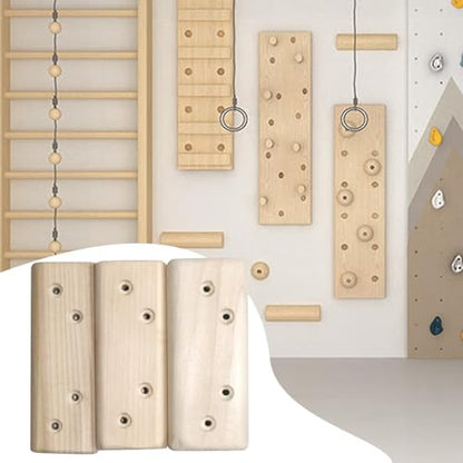 Menolana 3Pcs Climbing Rock Training Lightweight Professional Sturdy Rock Climbing Holds for Backpacking Bouldering