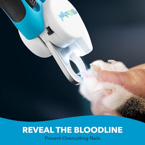 Boshel LED Large Dog Nail Clippers with Quick Sensor, Light, and Safety Guard, Pet's Sharp Toenail Cutter and File - size: LED - Large/Medium
