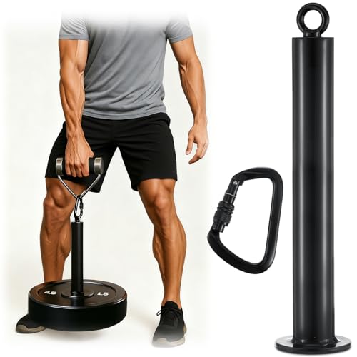 Soulchen Heavy Duty 16" Weight Loading Pin with Carabiner High Load-Bearing Aviation Aluminum Fit 2 in Weight Plates for LAT Pull Down Cable Pulley System Gym Accessories Gift
