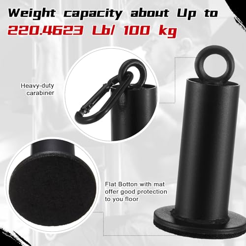 Lasnten 2 Set Weight Loading Pin Fit 2 Inch Standard Weight Plate Heavy Duty Loading Pin with Carabiner for Cable Pulley LAT Pulldown System Home Gym Strength Training Equipment(Diameter 1.9 Inch) - size: 1.9'' D X 4.7'' H