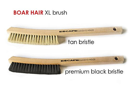 Escape Climbing Premium Boars Hair Brush XL | Durable Cleaning Tool for Rock Climbing Holds | Natural Fiber Brush Designed for Ultimate Performance (Tan)