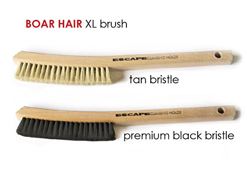 Escape Climbing Premium Boars Hair Brush XL | Durable Cleaning Tool for Rock Climbing Holds | Natural Fiber Brush Designed for Ultimate Performance (Tan)