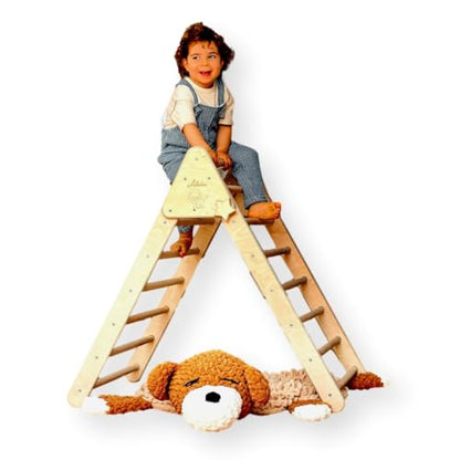 Montessori Wooden Climbing Triangle for Kids | Foldable Indoor Climbing Frame for Children & Toddlers | Wooden Playground Equipment (XLarge) - style: XLarge