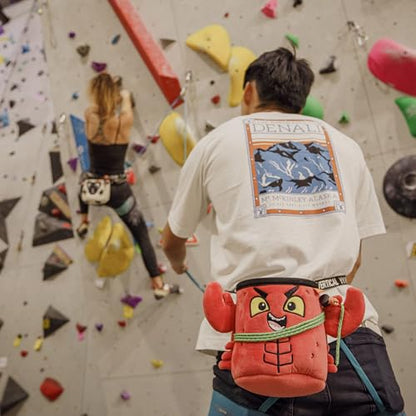 YY Vertical Rock Climbing Chalk Bags - style: Lobster