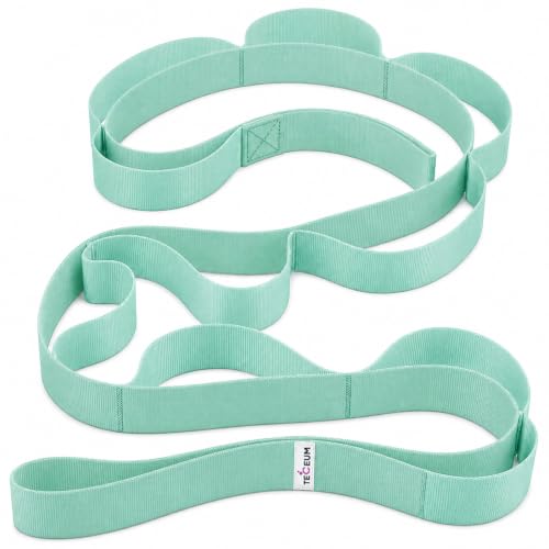 Stretching Strap with 10 Loops for Physical Therapy & Rehab | Non-Elastic Yoga Stretch Band for Hamstring, Leg, Hip & Knee Rehab, Pilates, Flexibility & Mobility Exercises for Men & Women - color: Light Green, size: Polypropylene 1.5” W - 10 Loops