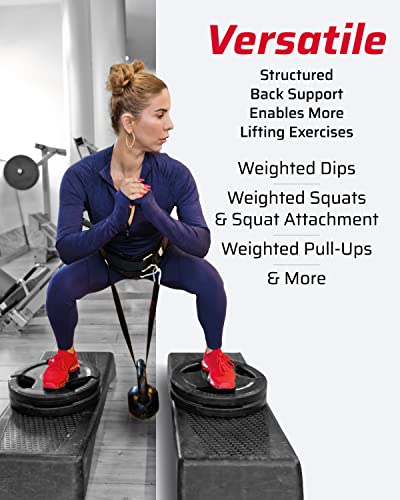 THEFITGUY Dumbbell Loading Straps Plus The Ultimate Dip Belt & Cable Attachments Gym Straps Bundle