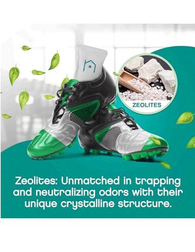 Shoe Deodorizer with Zeolites 1-Pack - Odor Eliminator, Air Freshener, Smell Absorber, Sneakers, Gym Bags, Soccer Cleats, Closets, Pet Area, Reusable - Shoe Deodorant - size: 2 Count (Pack of 1)