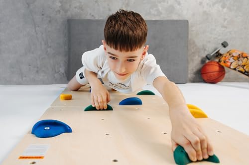 ComfyBumpy 6 Rock Climbing Holds - Replacement Holds Rock Climbing Wall for Kids