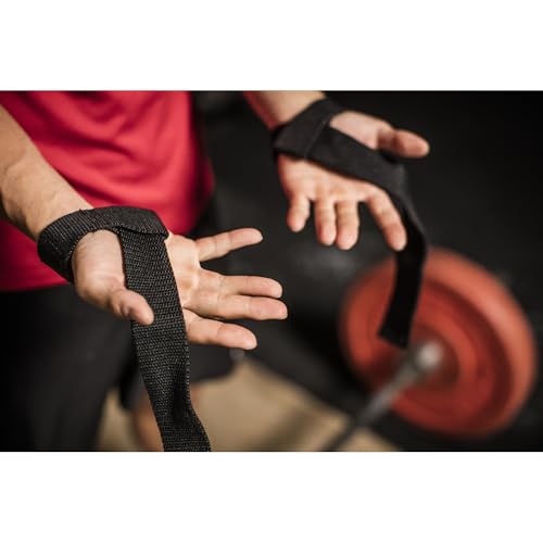 Harbinger Padded Cotton Lifting Straps with NeoTek Cushioned Wrist, 21.5 Inch Length, 1.5 Inch Width, Pair, Weightlifting Wrist Straps for Deadlifts and Strength Training - color: Black