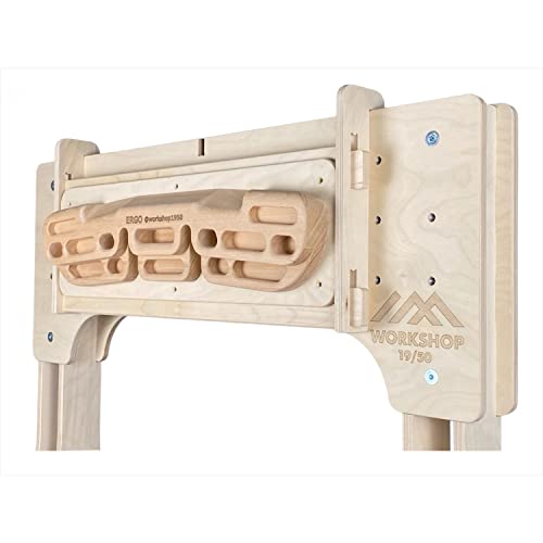Training Rack 2,3m and Campus Board | for Rock Climbing and Bouldering| Mini Climbing Wall | for Finger Strengt and Pull Up | Climbing hangboard