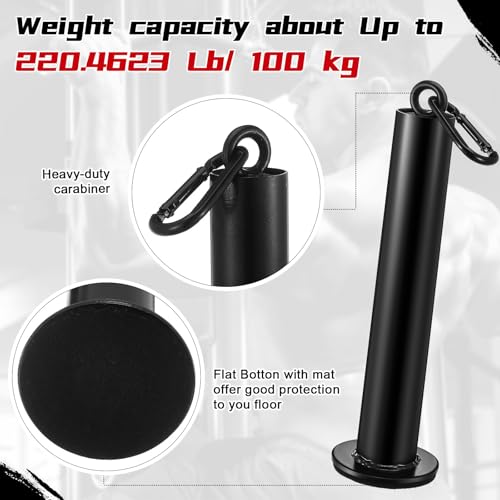 Lasnten 2 Set Weight Loading Pin Fit 2 Inch Standard Weight Plate Heavy Duty Loading Pin with Carabiner for Cable Pulley LAT Pulldown System Home Gym Strength Training Equipment(Diameter 1.9 Inch) - size: 1.9'' D X 12.6'' H