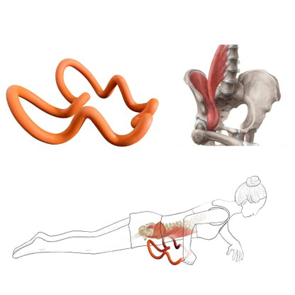 LittleMum Deep Trigger Point Myofascial Release Tool –Back, Shoulder Blade & Hip Flexor Massager for Scapular Pain, Upper-Back Stiffness, Levator Scapulae Tightness, Psoas & Pelvic Muscle Relief
