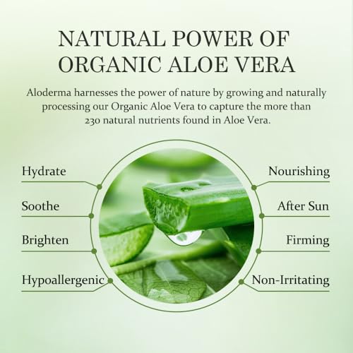 Aloderma Aloe Hydrating Hand Cream, Non-Greasy Hand Lotion, 3.5 oz x6 | Gently scented vegan formula with shea butter, travel size 100 ml hand cream for cracked skin - ideal for office or gym use - size: 3.5 Fl Oz (Pack of 6)