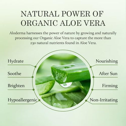 Aloderma Aloe Hydrating Hand Cream, Non-Greasy Hand Lotion, 3.5 oz x3 | Gently scented vegan formula with shea butter, travel size 100 ml hand cream for cracked skin - ideal for office or gym use - size: 3.5 Fl Oz (Pack of 3)