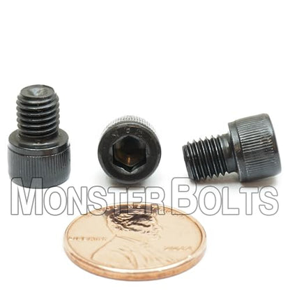 MonsterBolts - 1/4"-28 x 5/16" Socket Head Screws, ASTM A574, Alloy Steel, Black Oxide, 10 Pack - size: 0.3125 In. (5/16")