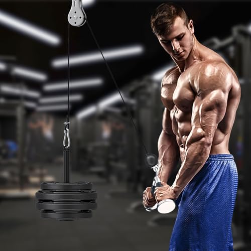 Weight Loading Pin with Carabiner, Fitness Weight Lifting Pin fit 1 inch Standard / 2 inch Olympic Weight Plates Pulley Cable System Attachment for Home Gym Muscle Strength Training (Olympic) - color: 1 inch Standard