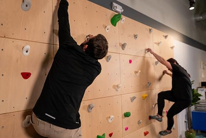 DIY Climbing Wall Panel – 47" x 23.5" Birch Plywood, Pre-Drilled T-Nuts, Textured & Paintable Surface – Indoor Home Gym & Kids Playroom Rock Wall Panel (Climbing Holds Not Included) (Natural) - color: Natural