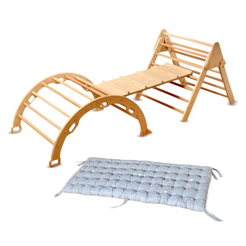 Montessori Wooden Climbing Set for Kids | Montessori Climbing Triangle Climbing Dome Ramp and Pillow | Montessori Climbing Frame Set for Toddler | Montessori Playground | Kids Play Gym(Dino) - style: Dino