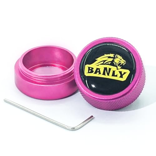 Banly Round Pool Chalk Holder - Portable Pool Cue Chalk Holder, Magnetic Mini Chalk Holder Pool Billiards, Pool Cue Chalk Case Container Box for Billiard Cue Tip Tool Snooker Pool Table Accessory - color: 1-Pink Holder