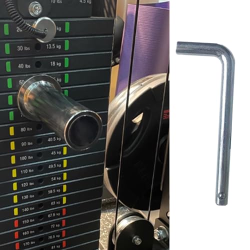 Weight Stack Pin, 2 Pcs Gym Pin Weight Loading Pin for Weight Plates, Weight Pin Replacement Part L Shaped Handle Weight Machine Pin for Fitness Device