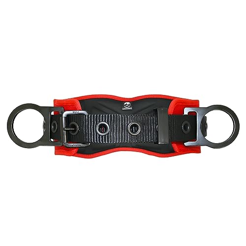 AFP Heavy-Duty 2 D-Ring Waist Body Belt w/Tongue Buckle Premium Stitching (OSHA/ANSI PPE) - color: Red & Black, size: Small-Medium