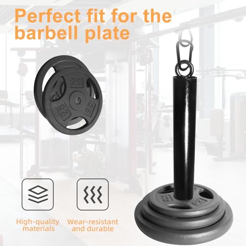 Loading Pin for Weight Plates, 2 Inch Olympic Weight Plate Compatible Weight Loading Pin with Carabiner for Cable Pulley LAT Pulldown System